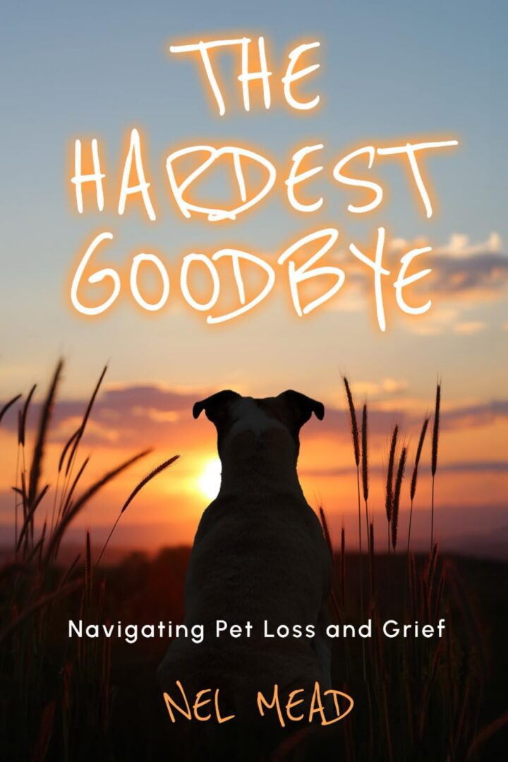 Dog silhouette watching sunset, "The Hardest Goodbye"