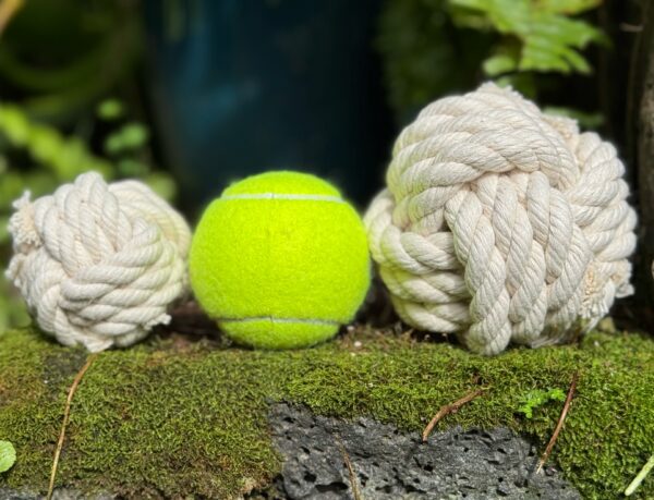 Tennis ball between two rope knot toys
