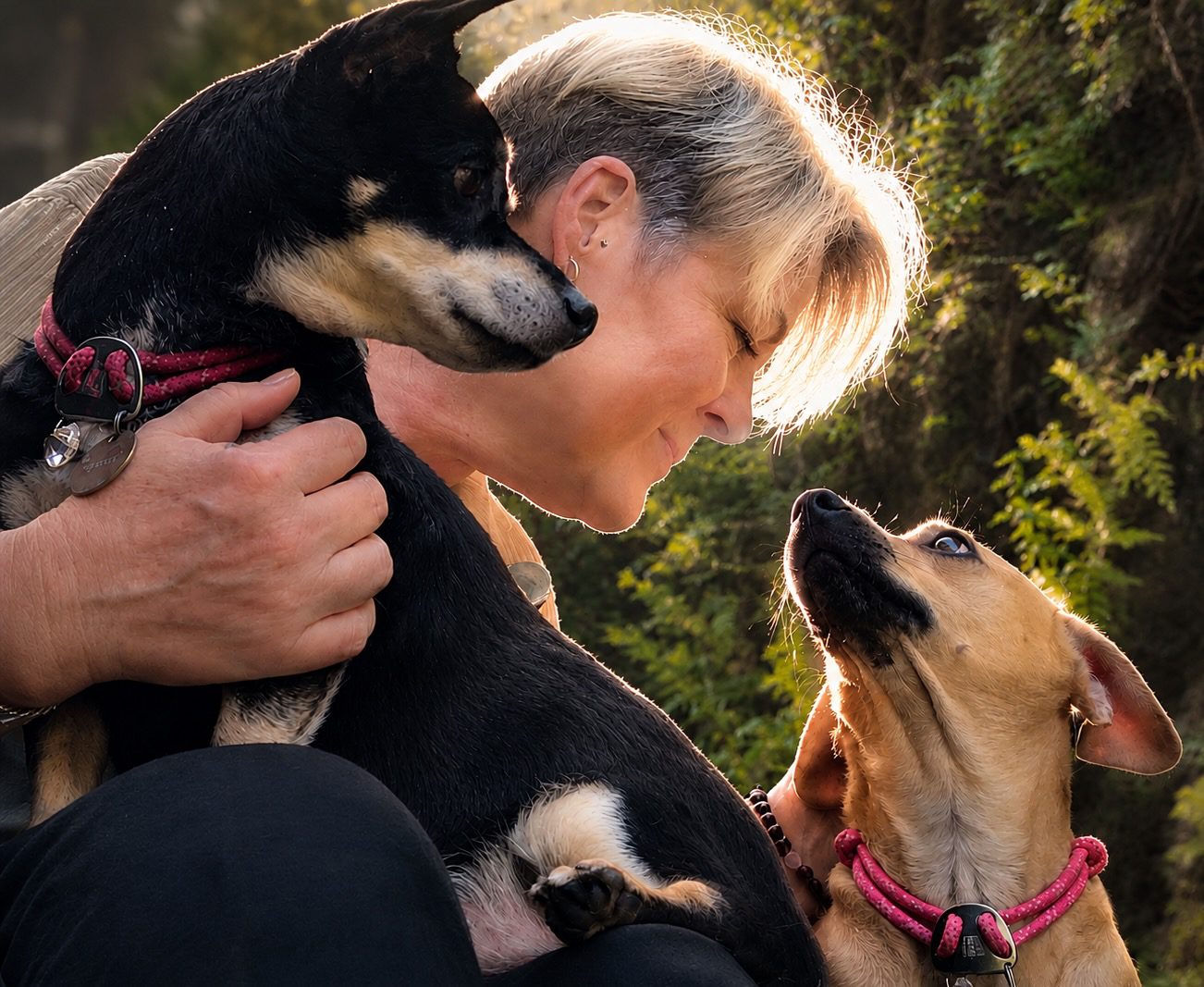 Woman cuddling two small dogs