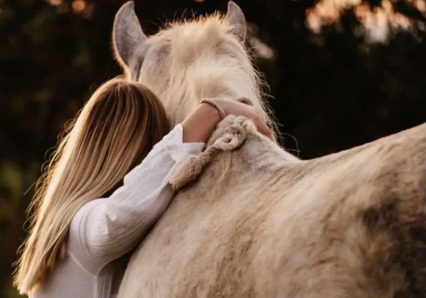 Horse connection for equine sessions